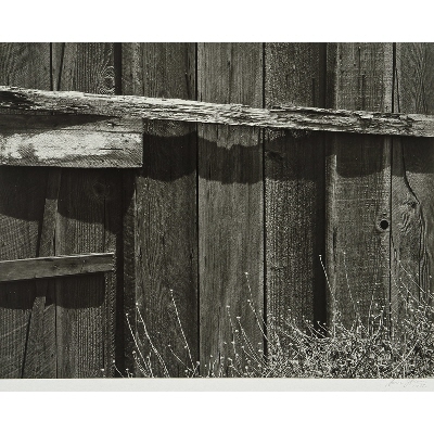 Fence: Board Wall with Grasses